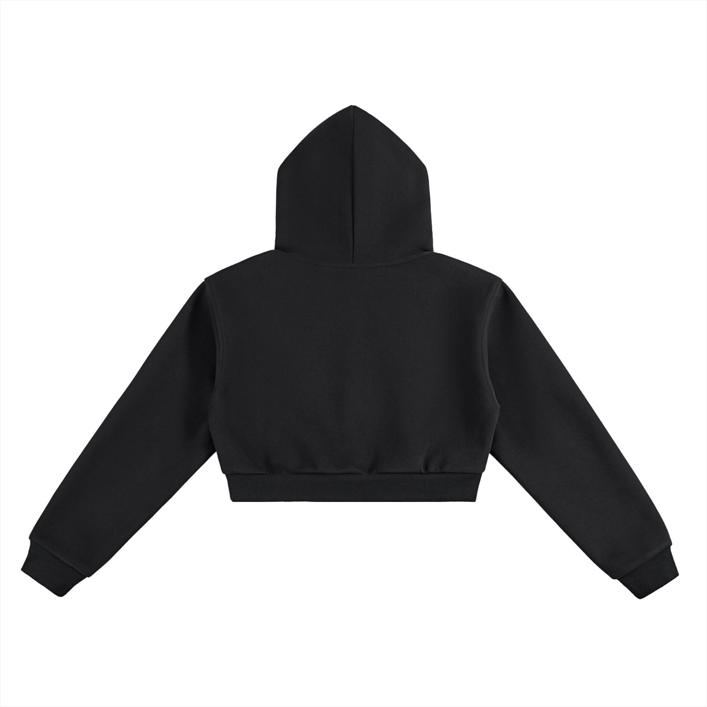 'GOD IS A WOMAN 🥀' CROPPED HOODIE (fem sizing)