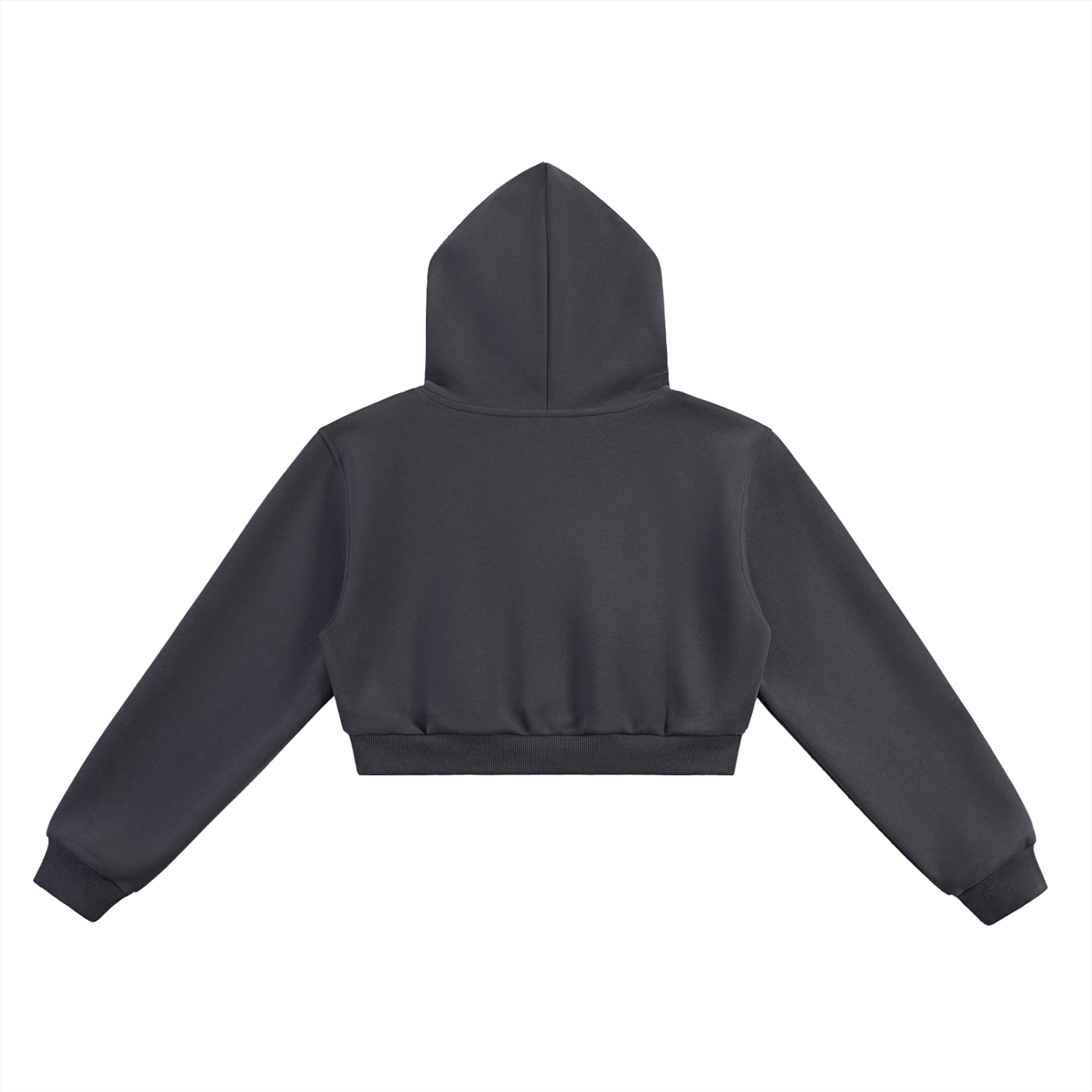 'FTP ππ' ESSENTIAL CHARCOAL CROPPED HOODIE (fem sizing)