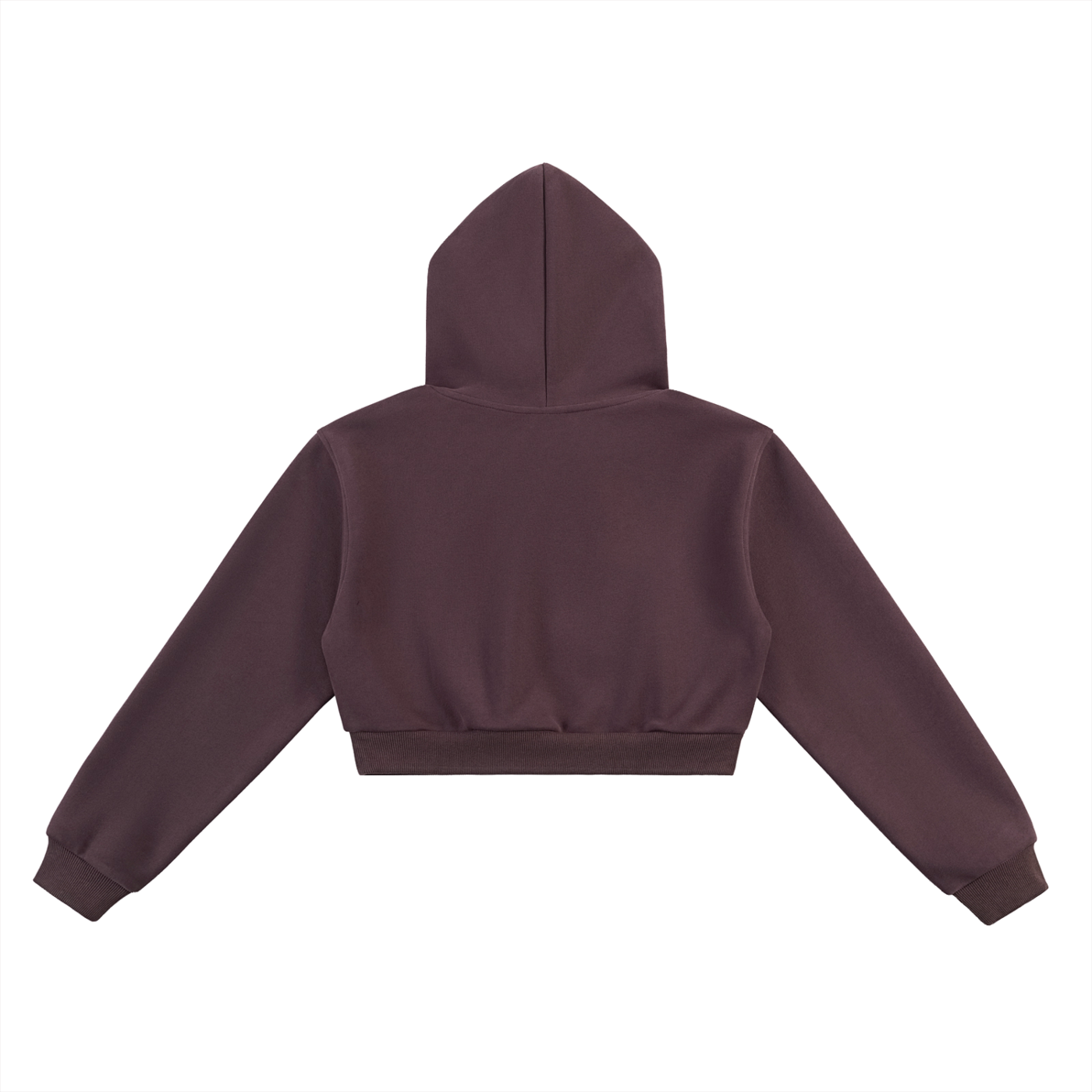 'GOD IS A WOMAN 🥀' CROPPED HOODIE (fem sizing)