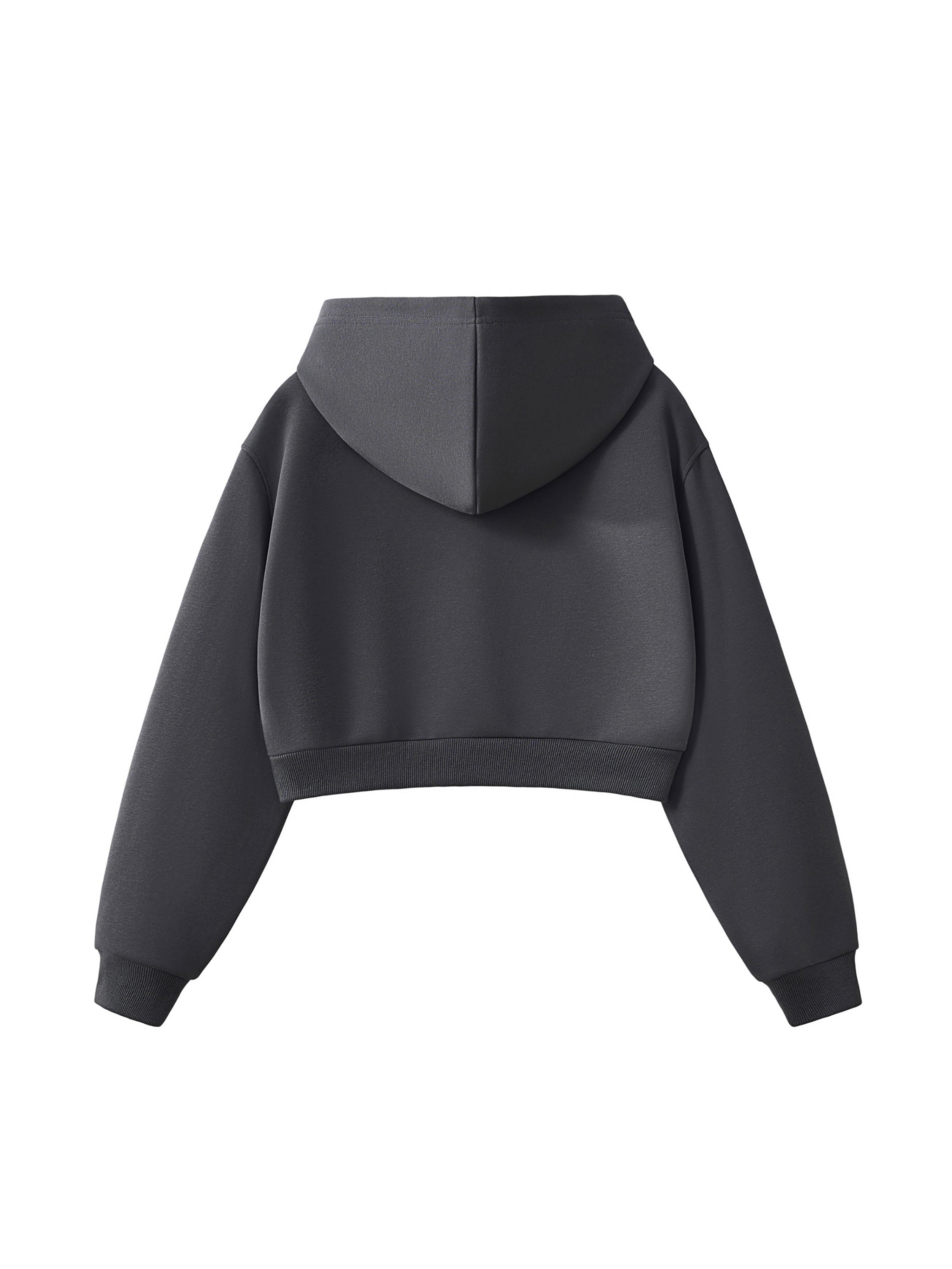 'FTP ππ' ESSENTIAL CHARCOAL CROPPED HOODIE (fem sizing)