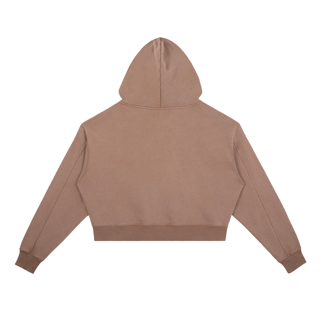 ⏺ 'DELULU ERA' ⏺ VINTAGE WASH HEAVYWEIGHT HOODIE (fem sizing)