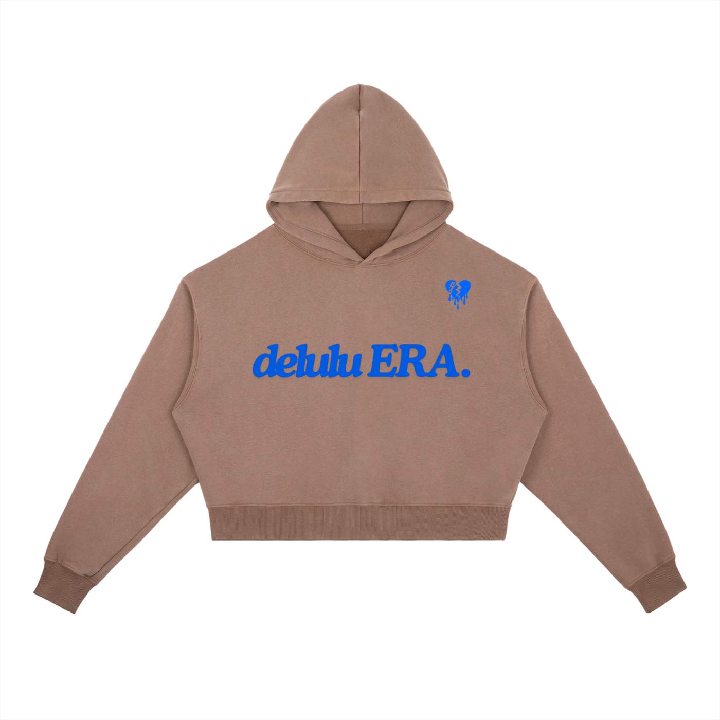 ⏺ 'DELULU ERA' ⏺ VINTAGE WASH HEAVYWEIGHT HOODIE (fem sizing)
