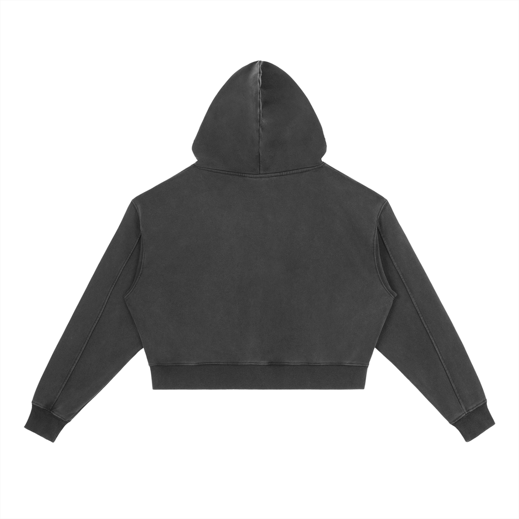 ⏺ 'DELULU ERA' ⏺ VINTAGE WASH HEAVYWEIGHT HOODIE (fem sizing)