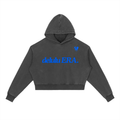⏺ 'DELULU ERA' ⏺ VINTAGE WASH HEAVYWEIGHT HOODIE (fem sizing)