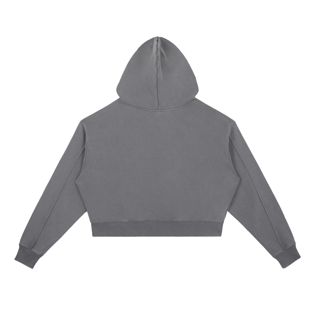 ⏺ 'DELULU ERA' ⏺ VINTAGE WASH HEAVYWEIGHT HOODIE (fem sizing)