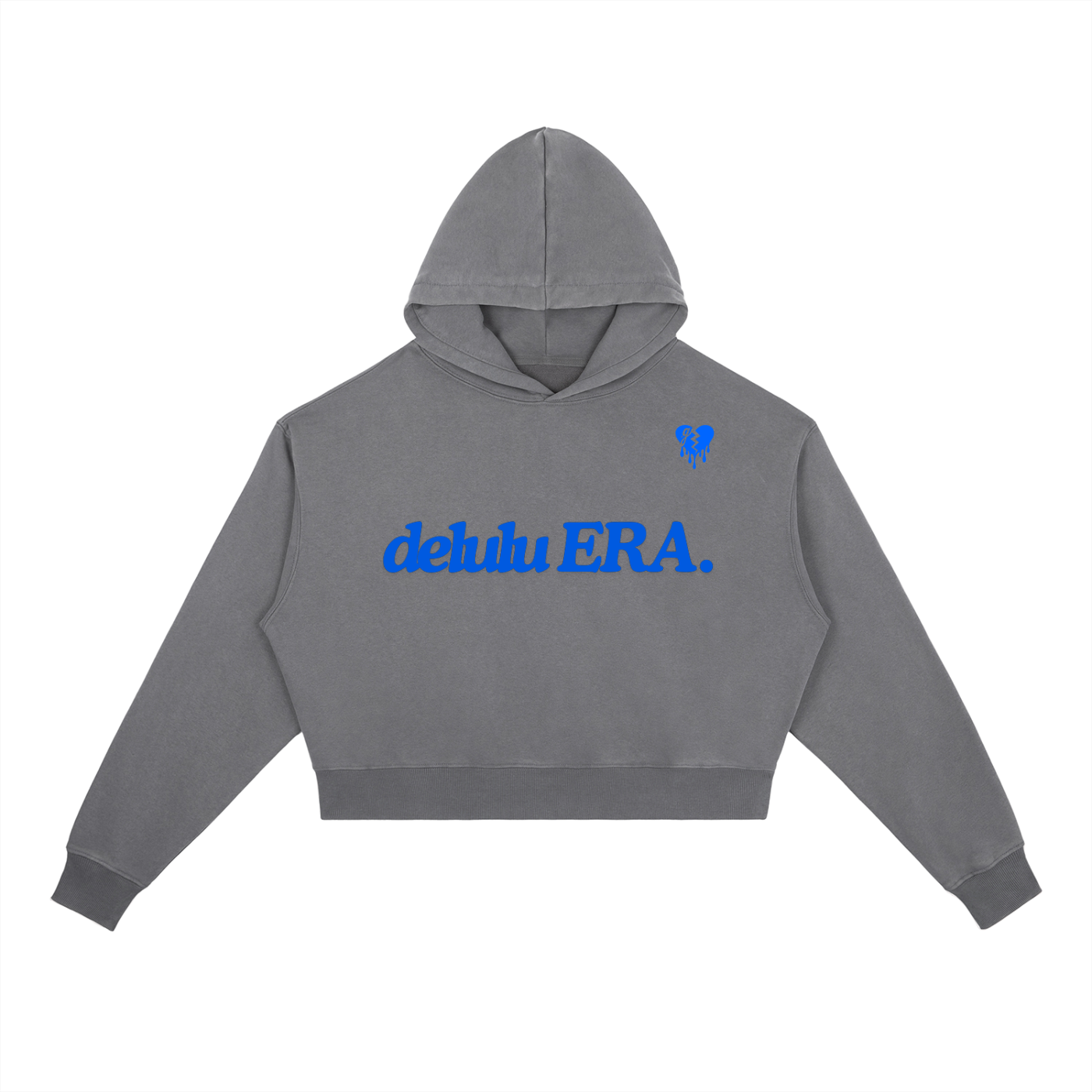 ⏺ 'DELULU ERA' ⏺ VINTAGE WASH HEAVYWEIGHT HOODIE (fem sizing)