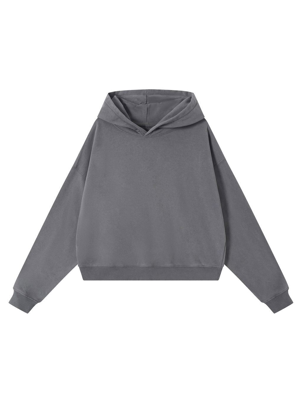 ⏺ 'DELULU ERA' ⏺ VINTAGE WASH HEAVYWEIGHT HOODIE (fem sizing)