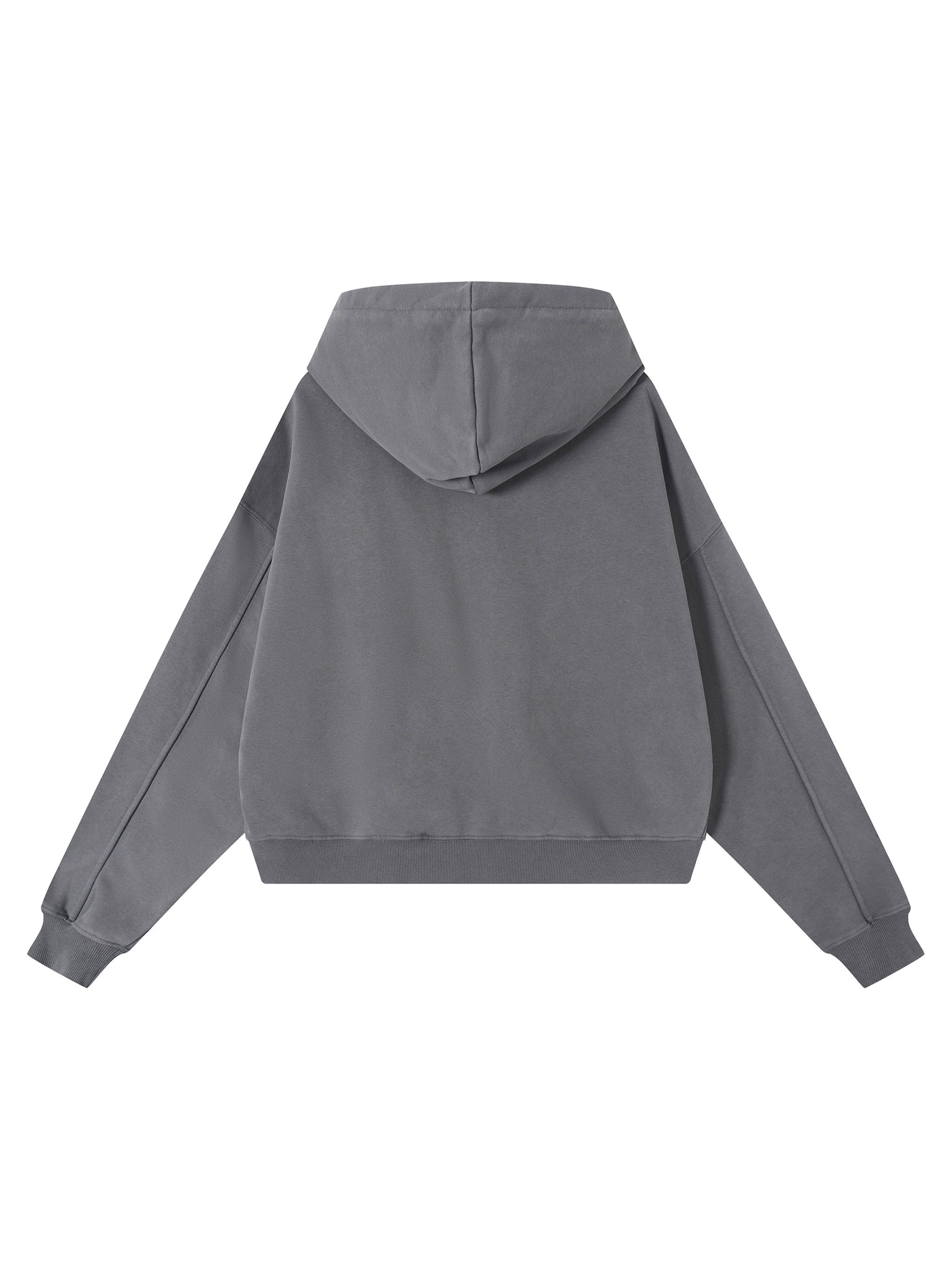 ⏺ 'DELULU ERA' ⏺ VINTAGE WASH HEAVYWEIGHT HOODIE (fem sizing)